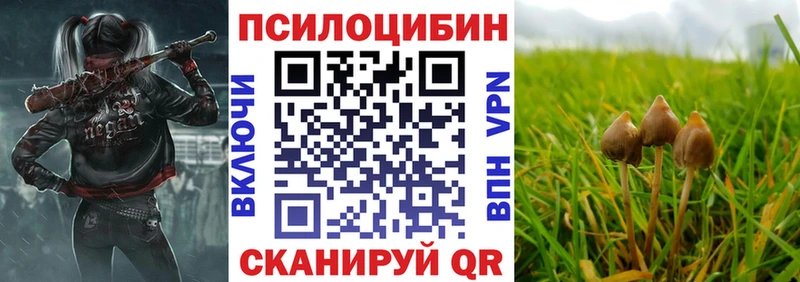 что такое наркотик  Междуреченск  Псилоцибиновые грибы Cubensis 