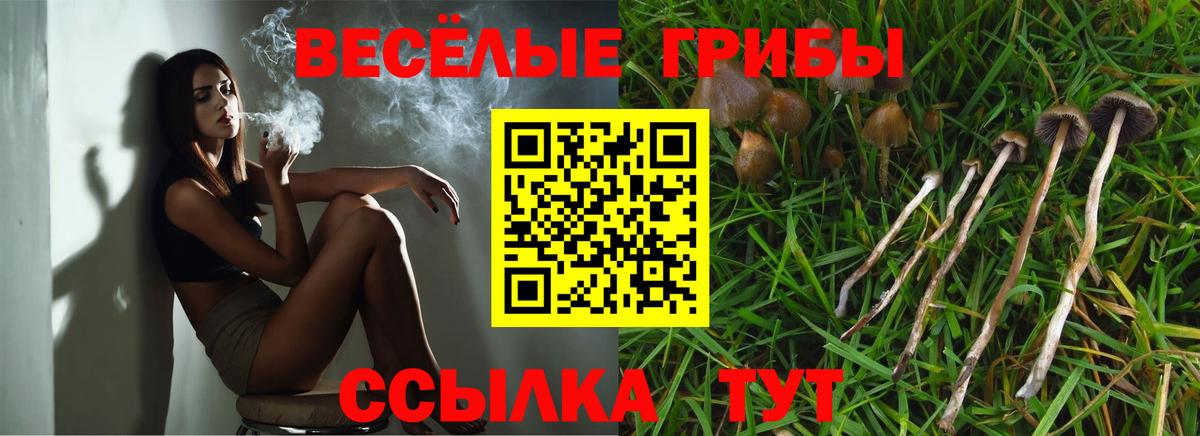 Псилоцибиновые грибы GOLDEN TEACHER Междуреченск